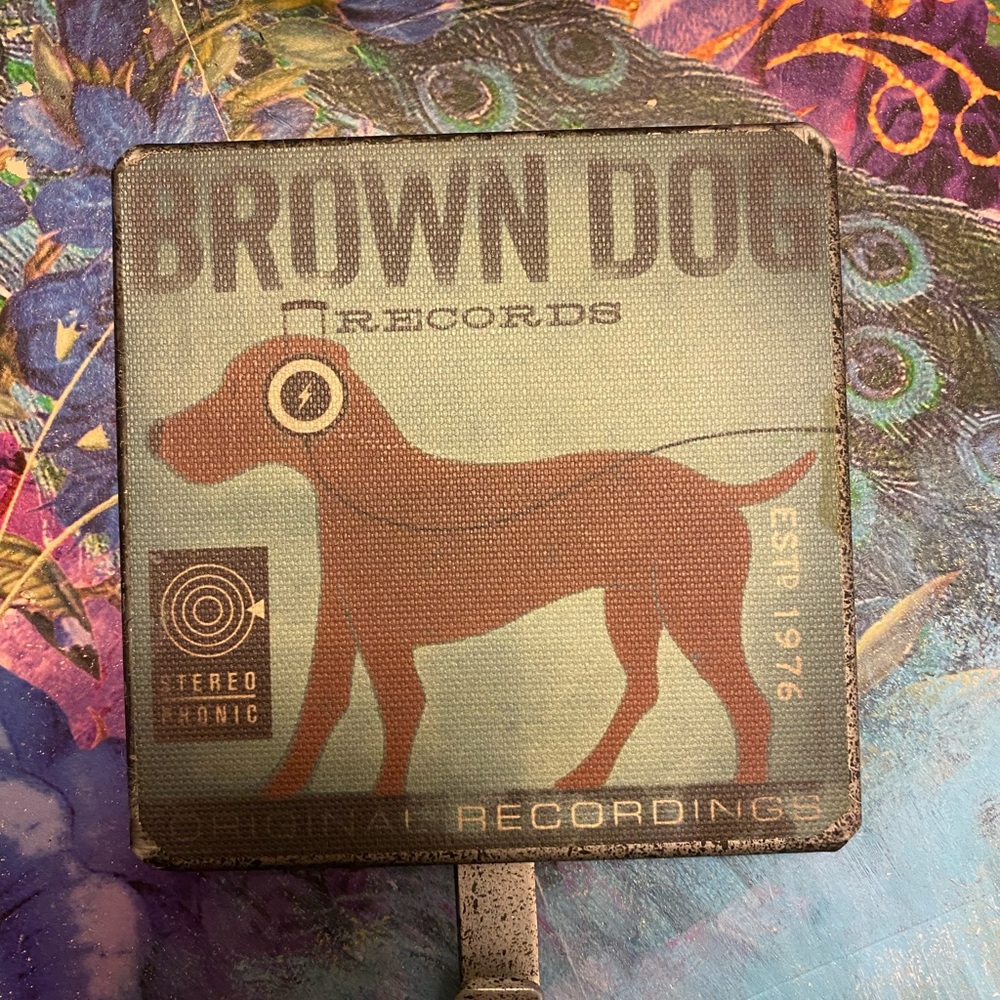 Dog leash hook